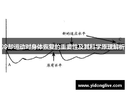 冷却运动对身体恢复的重要性及其科学原理解析