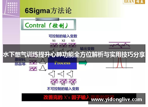 水下憋气训练提升心肺功能全方位解析与实用技巧分享